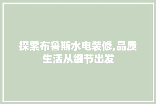 探索布鲁斯水电装修,品质生活从细节出发 探索布鲁斯水电装修,品质生活从细节出发 装修知识