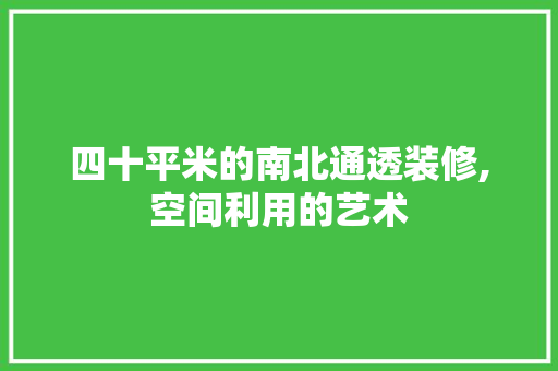 四十平米的南北通透装修,空间利用的艺术 四十平米的南北通透装修,空间利用的艺术 装修知识
