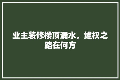 业主装修楼顶漏水，维权之路在何方 业主装修楼顶漏水，维权之路在何方 装修知识