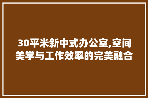 30平米新中式办公室,空间美学与工作效率的完美融合_新中式办公室_效果图30平方 二手房