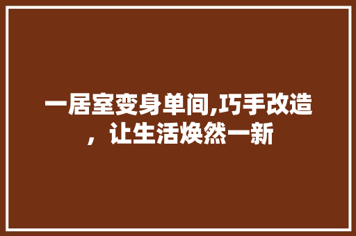 一居室变身单间,巧手改造，让生活焕然一新
