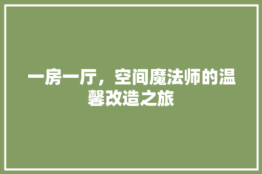 一房一厅，空间魔法师的温馨改造之旅