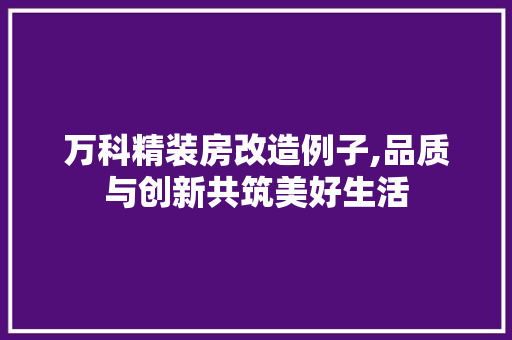万科精装房改造例子,品质与创新共筑美好生活
