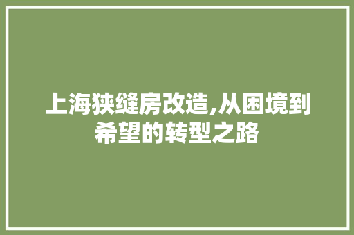 上海狭缝房改造,从困境到希望的转型之路