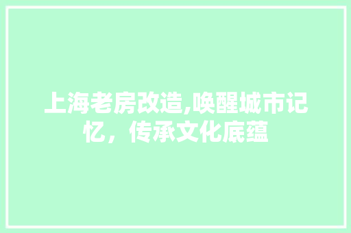 上海老房改造,唤醒城市记忆，传承文化底蕴