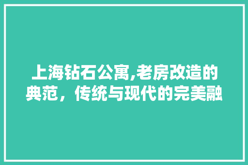 上海钻石公寓,老房改造的典范，传统与现代的完美融合