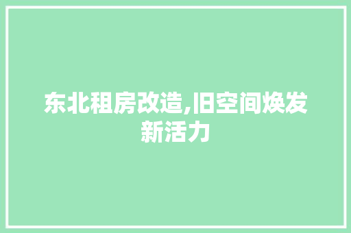 东北租房改造,旧空间焕发新活力 二手房