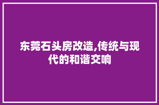 东莞石头房改造,传统与现代的和谐交响