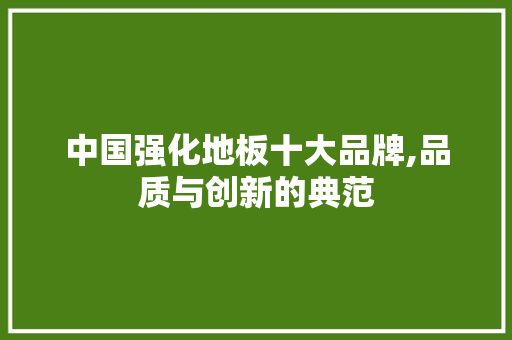 中国强化地板十大品牌,品质与创新的典范 装修知识