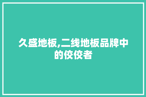 久盛地板,二线地板品牌中的佼佼者 家居设计