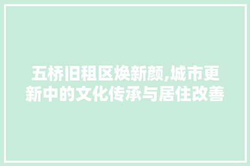 五桥旧租区焕新颜,城市更新中的文化传承与居住改善