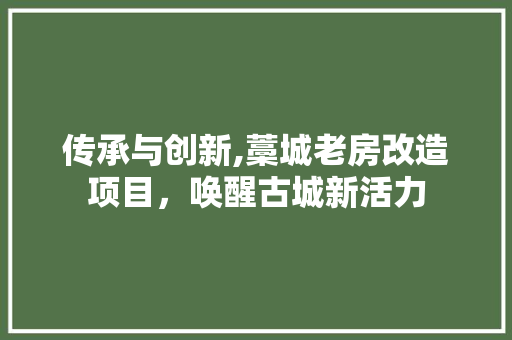传承与创新,藁城老房改造项目，唤醒古城新活力