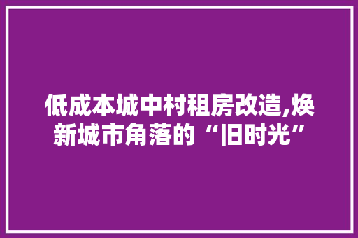 低成本城中村租房改造,焕新城市角落的“旧时光”