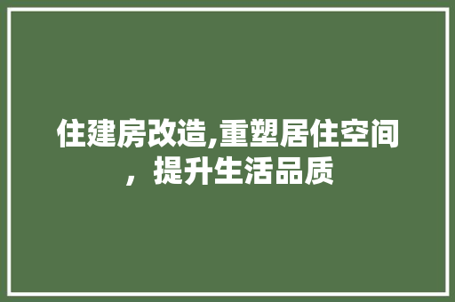 住建房改造,重塑居住空间，提升生活品质