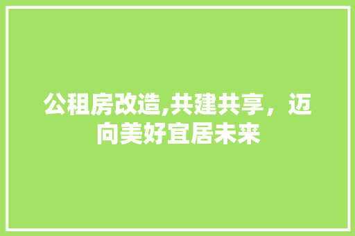 公租房改造,共建共享，迈向美好宜居未来