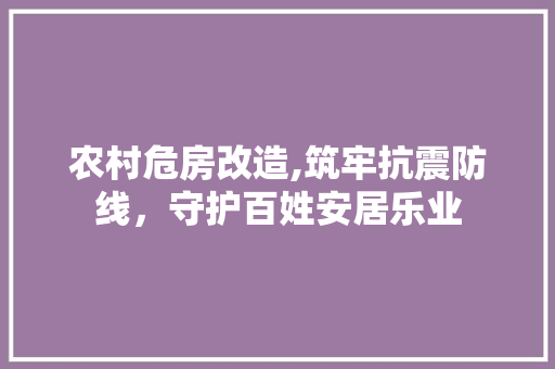 农村危房改造,筑牢抗震防线，守护百姓安居乐业 家居装饰