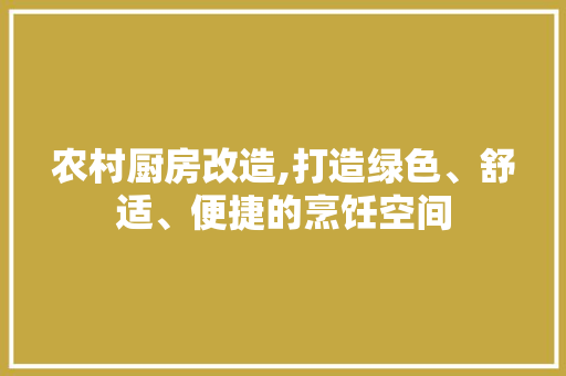 农村厨房改造,打造绿色、舒适、便捷的烹饪空间