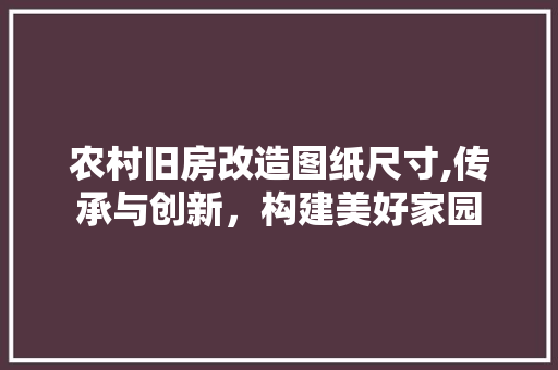 农村旧房改造图纸尺寸,传承与创新，构建美好家园