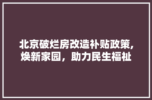 北京破烂房改造补贴政策,焕新家园，助力民生福祉