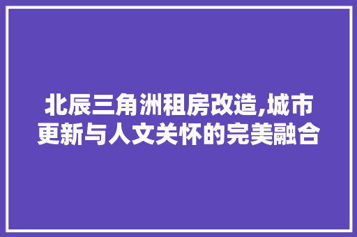 北辰三角洲租房改造,城市更新与人文关怀的完美融合，北辰三角洲租房信息。