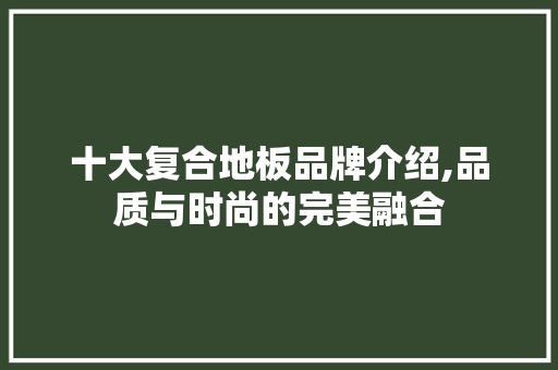十大复合地板品牌介绍,品质与时尚的完美融合