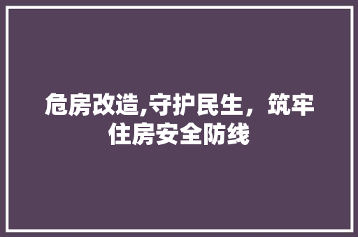 危房改造,守护民生，筑牢住房安全防线