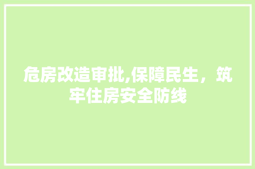 危房改造审批,保障民生，筑牢住房安全防线