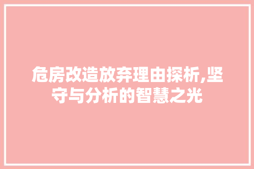 危房改造放弃理由探析,坚守与分析的智慧之光，关于某某放弃危房改造说明。