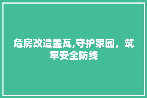 危房改造盖瓦,守护家园，筑牢安全防线