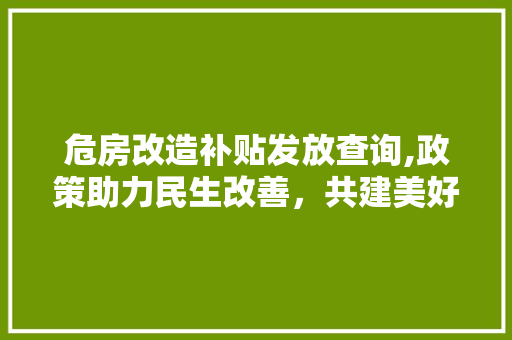 危房改造补贴发放查询,政策助力民生改善，共建美好家园