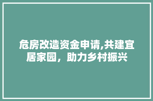 危房改造资金申请,共建宜居家园，助力乡村振兴