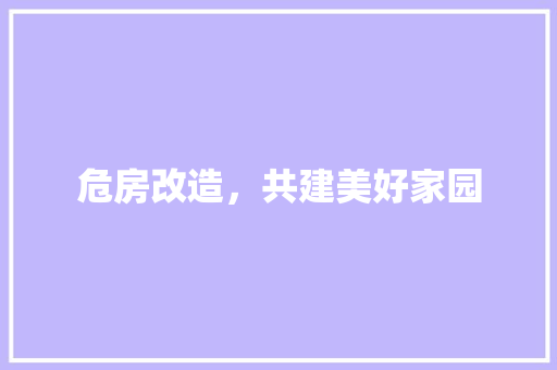 危房改造，共建美好家园 家居设计