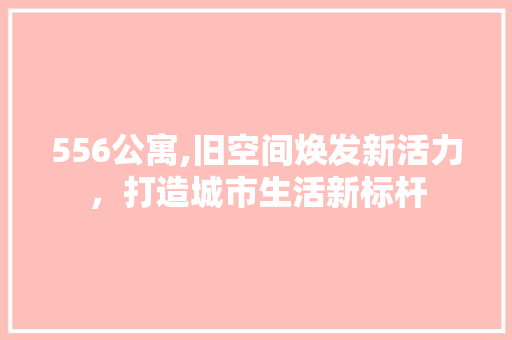 556公寓,旧空间焕发新活力，打造城市生活新标杆 家居装饰