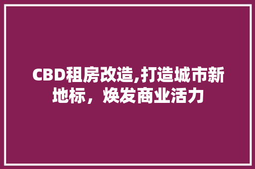 CBD租房改造,打造城市新地标，焕发商业活力
