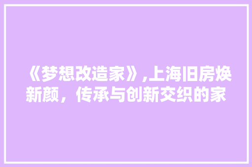 《梦想改造家》,上海旧房焕新颜，传承与创新交织的家居艺术