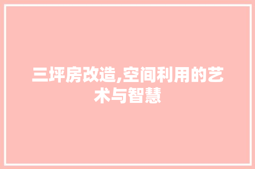 三坪房改造,空间利用的艺术与智慧