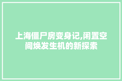 上海僵尸房变身记,闲置空间焕发生机的新探索