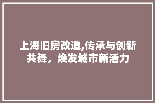上海旧房改造,传承与创新共舞，焕发城市新活力