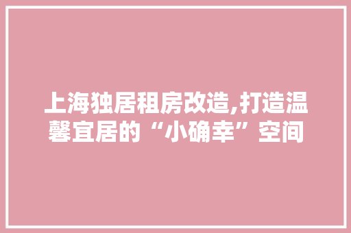 上海独居租房改造,打造温馨宜居的“小确幸”空间 二手房