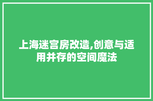 上海迷宫房改造,创意与适用并存的空间魔法 家居装饰