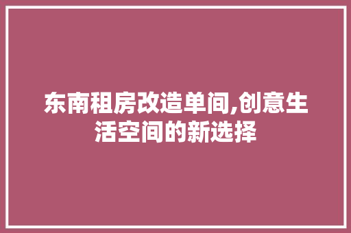 东南租房改造单间,创意生活空间的新选择 二手房