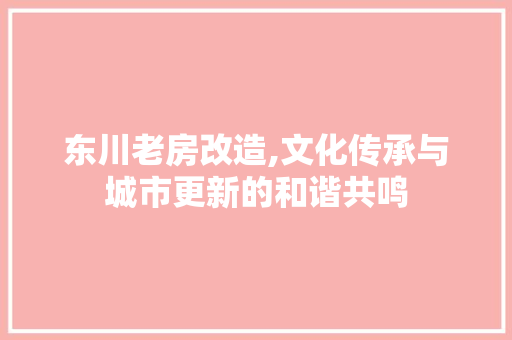 东川老房改造,文化传承与城市更新的和谐共鸣