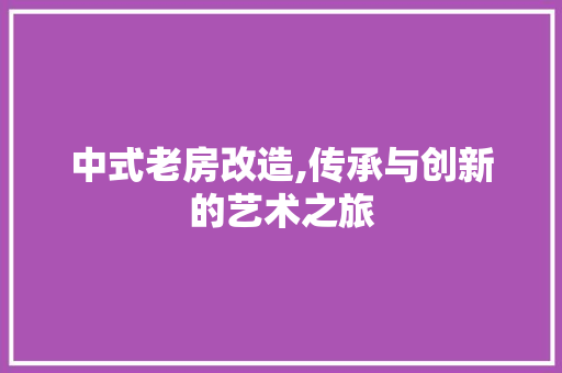 中式老房改造,传承与创新的艺术之旅 家居装饰