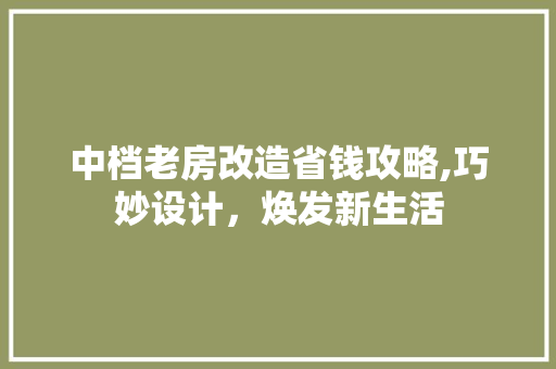 中档老房改造省钱攻略,巧妙设计，焕发新生活 二手房