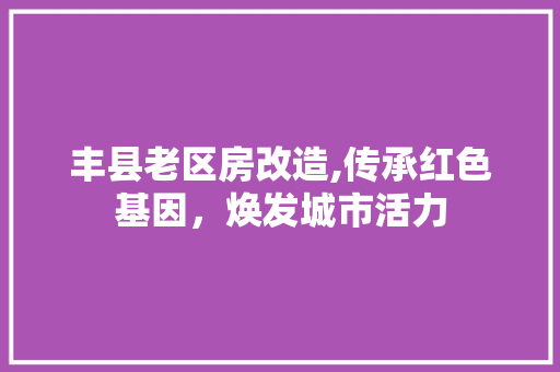 丰县老区房改造,传承红色基因，焕发城市活力
