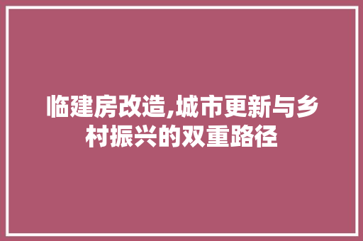临建房改造,城市更新与乡村振兴的双重路径