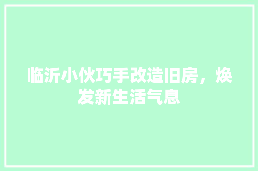 临沂小伙巧手改造旧房，焕发新生活气息