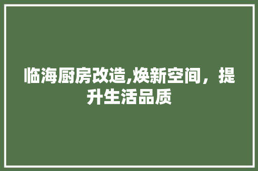 临海厨房改造,焕新空间，提升生活品质