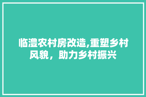临澧农村房改造,重塑乡村风貌，助力乡村振兴 家居设计