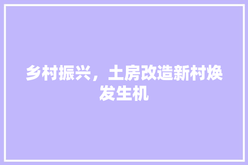 乡村振兴，土房改造新村焕发生机 家居设计